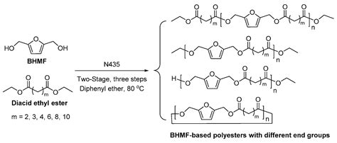 Polymers Free Full Text Enzymatic Synthesis Of Biobased Polyesters