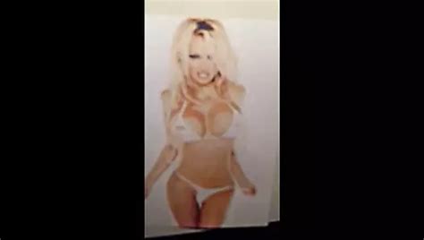 Pamela Anderson Cum Tribute 3 Gay Porn XHamster