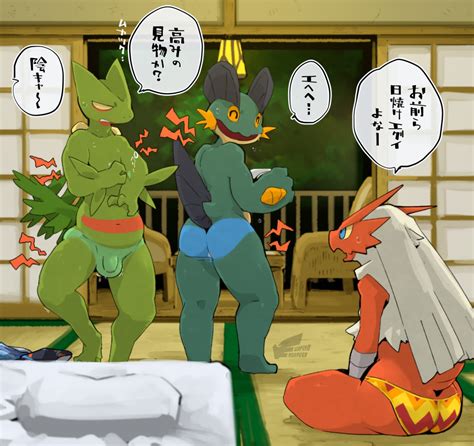 Post 6282638 Blaziken Jitsuwa Moeru53 Porkyman Sceptile Swampert