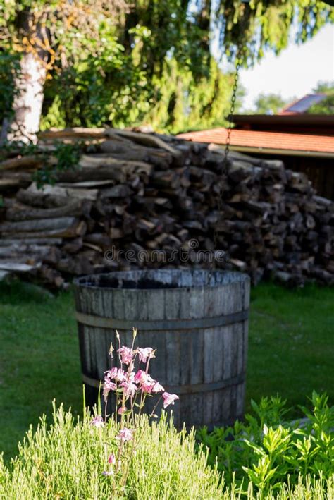 Old Wood Rain Water Barrel For Watering The Garden Old House And Pile