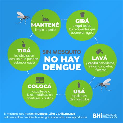 Información y recomendaciones para prevenir el Dengue Prensa Bahía