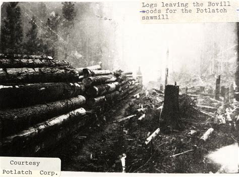 Logging Potlatch Historical Society Collection