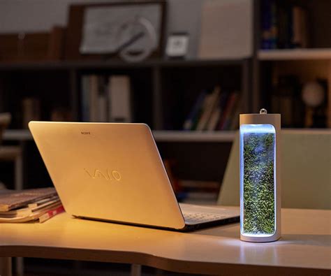 Moss Air Desktop-Sized Purifier and Humidifier in One - Tuvie Design