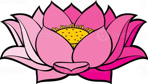 Lotus Flower Png