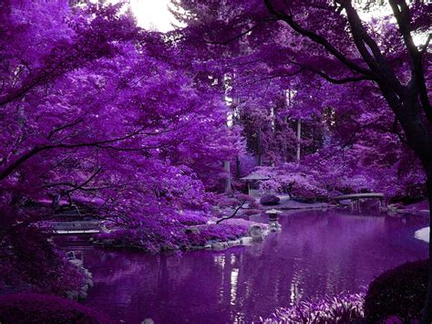 Purple Scenery Wallpaper - WallpaperSafari