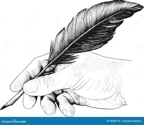 Dibujo De La Mano Con Una Pluma De La Pluma Ilustración Del Vector