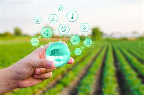 sosteniendo un globo con innovaciones en el fondo del campo agrícola