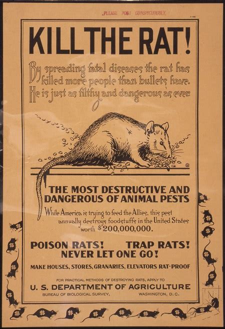 Rat Poison: Rat Poison Warfarin