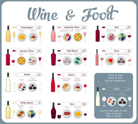 Guide to Basic Wine Knowledge | LoveToKnow