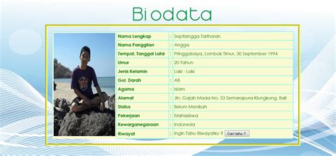 Contoh Biodata Diri Sederhana Program Sederhana Input Biodata