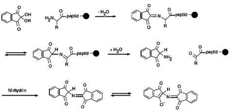 Polypeptide Synthesis Is Able to Promote the Stability of Amino Acids ...