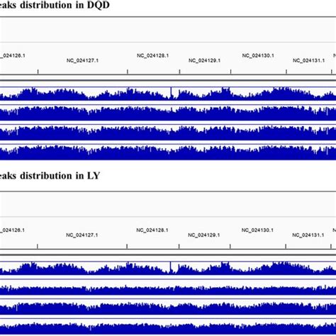 An Overview Of Chip Seq Peak Distribution In The Prunus Mume Genome