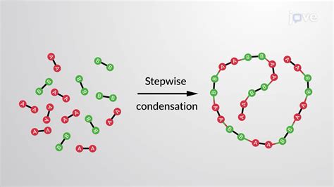 Step Growth Polymerization Overview Organic Chemistry JoVe