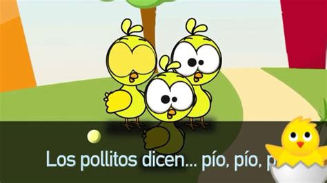 Canciones Infantiles Los Pollitos Youtube Caty