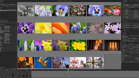 Best Free Lightroom Alternatives 2024