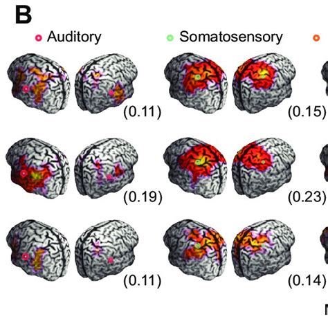 Cortical Correlation Structure Of Fractal Activity A Cortical