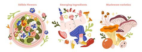 Culinary Trends Set Illustration 42894544 Vector Art At Vecteezy