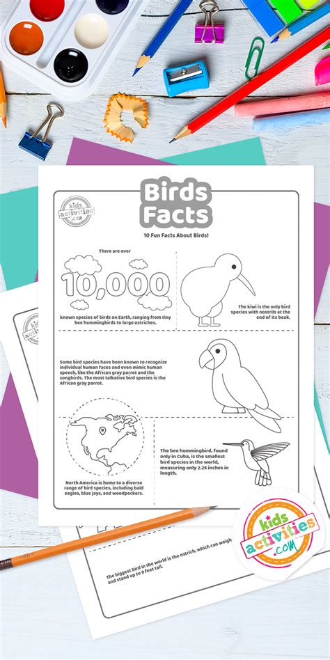 Bird Facts For Kids of All Ages | Kids Activities Blog