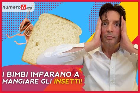 La Scuola D Oggi Insegnare Ai Bambini Come Mangiare Gli Insetti