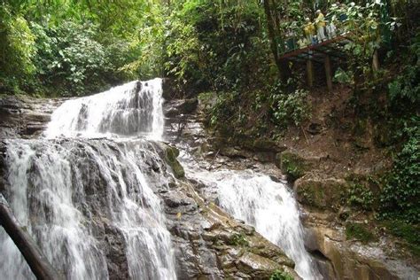 Veragua Rainforest Eco Adventure Aerial Tram Tortuguero Canal