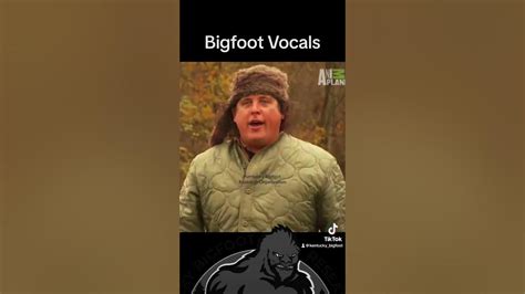 Bigfoot Vocals Bigfoot Paranormal Shorts Viral Animalplanet