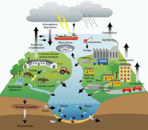 COASTAL POLLUTION - My articles