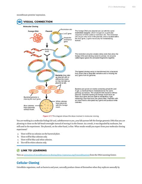 Chapter 17 Biotechnology And Genomics Part 4 Recombinant Proteins Expression Visual