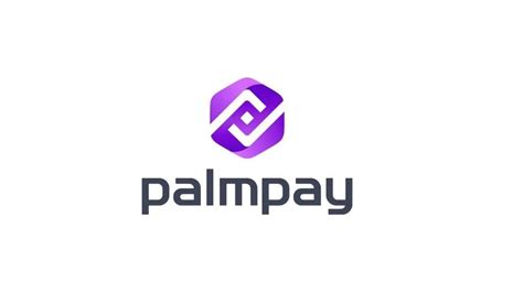 palmpay net worth