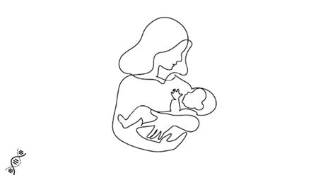 Спина бифида (расщепление позвоночника) | genetyka.com.ua