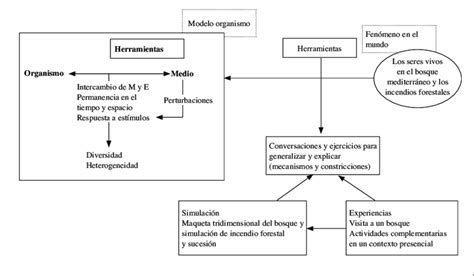 Fundamentos Del Proceso De Modelización En La Unidad Didáctica Diseñada Download Scientific