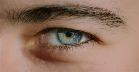 Estas são as 5 cores de olhos mais raras do mundo Correio de Minas