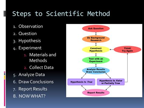 Scientific Method Ppt Download