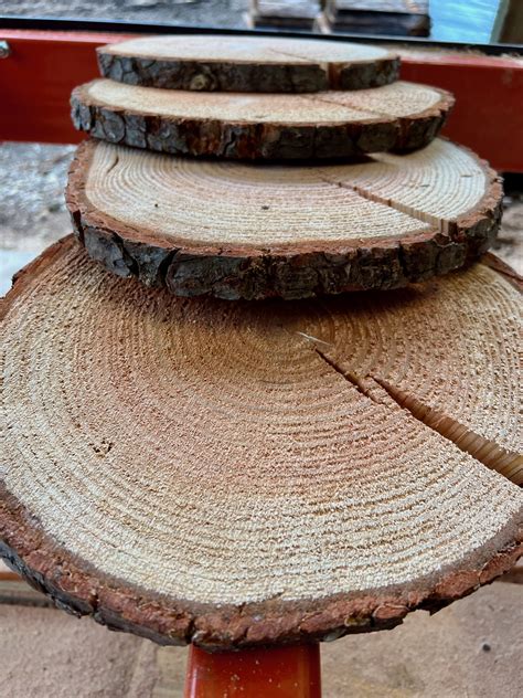 Douglas Fir Wood Slices Frison Logue Hardwoods