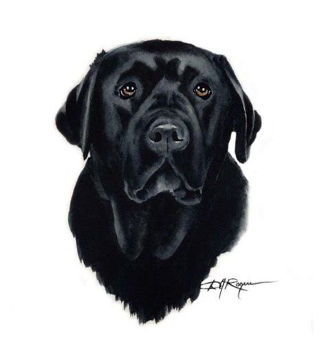 Tirage D Art De Chien Labrador Noir Sign E Par Par K Artgallery Plus