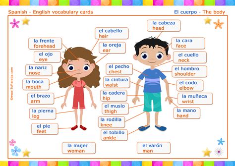 Vocabulario Cuerpo Body Tarjetas De Vocabulario Espa Ol Ingl S