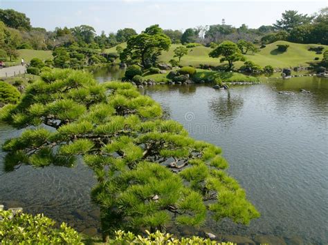 Japanese Park Stock Image Image Of Nature Lake Pine 10515587