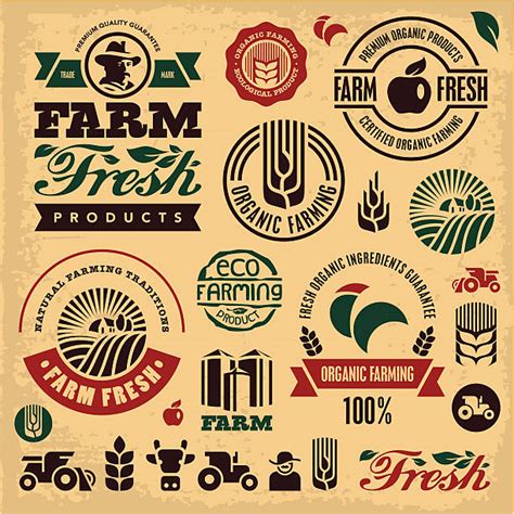 Fruit Market Sign Illustrations Royalty Free Vector Graphics And Clip