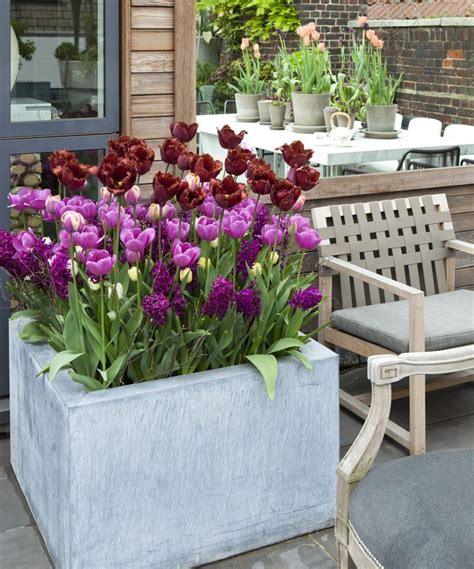 fill  bottom   large planter  options homes  gardens