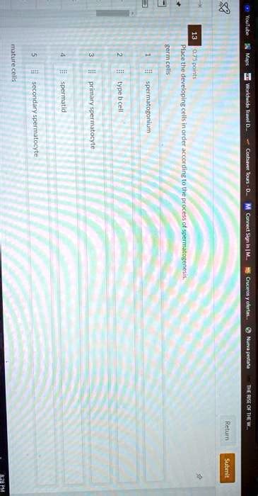 SOLVED Help Please K3 13 Mature Cells Germcells O 75 Ponts Spermatid