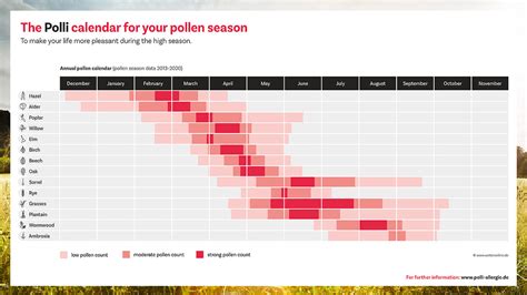 Pollen Count Calendar Polli