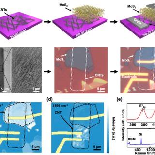 A Schematics Of The Fabrication Steps For The CNT VFET B SEM And