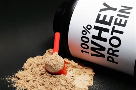 Whey Basic Protein Isolates Market Global Industry Analysis Overview