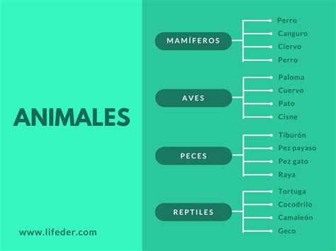 Organizadores Gráficos Qué Son Características Tipos Ejemplos 2023