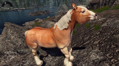 Wip Hd Horses Texture Test At Skyrim Nexus Mods And Community