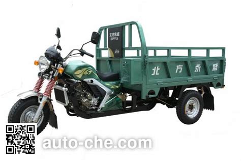 Yuyongsheng Cargo Moto Three Wheeler YYS175ZH Manufactured By Henan