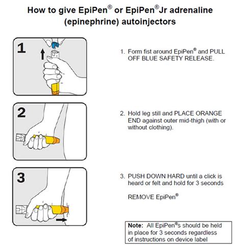 Epipen Printable Instructions