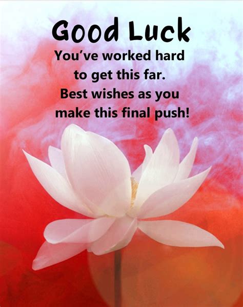 350 Beautiful Good Luck Wishes Quotes Images And Messages All The