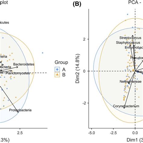 Principle Component Analysis Pca Bi Plot Showing The Beta Diversity