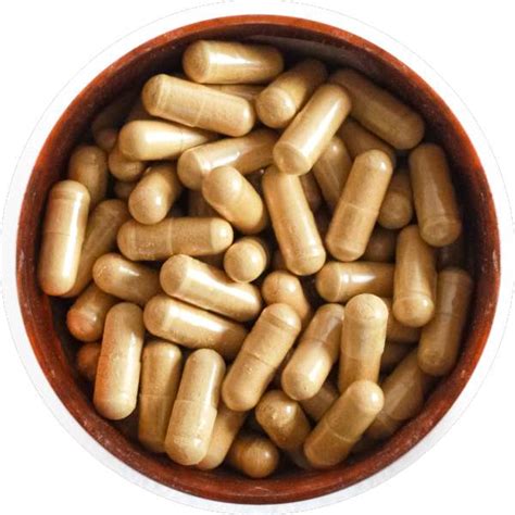 Organic Triphala Capsules Manufacturer Wholesale Bulk Supplier