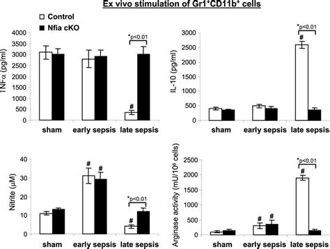 Gr Cd B Cells From Late Sepsis Nfi A Conditional Knockout Mice